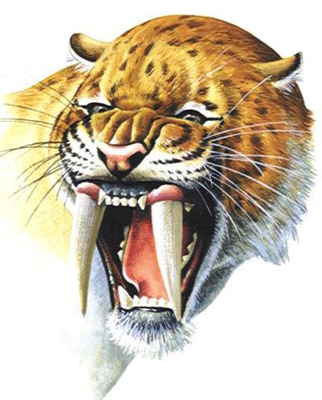 Smilodon, a sabre-toothed cat