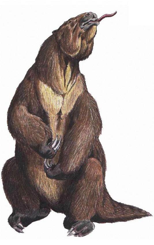 Megatherium