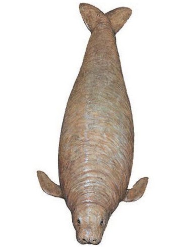Steller's sea cow