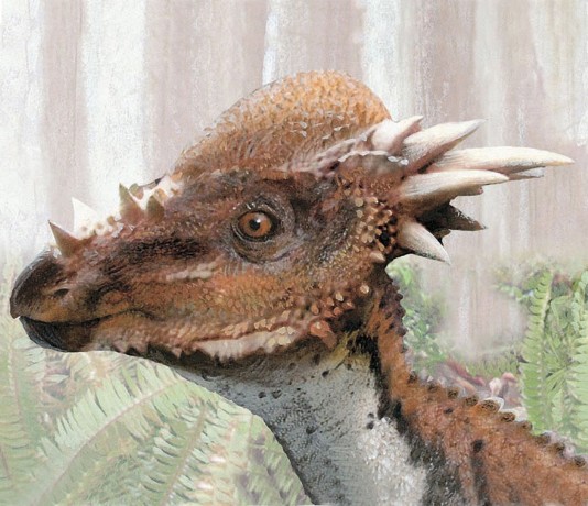 The head of Stygimoloch