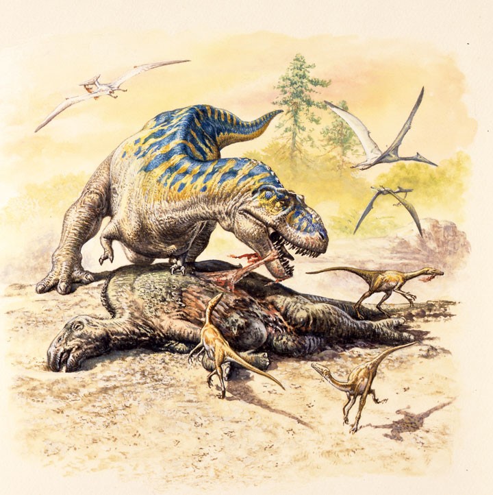 T. rex scavenging an Edmontosaurus carcass