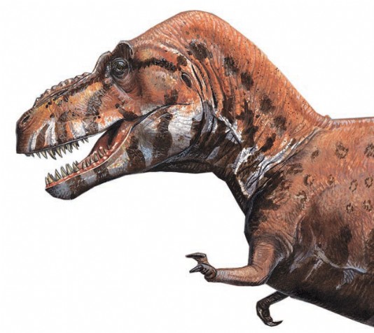T. rex's mighty head and tiny, two-fingered arms