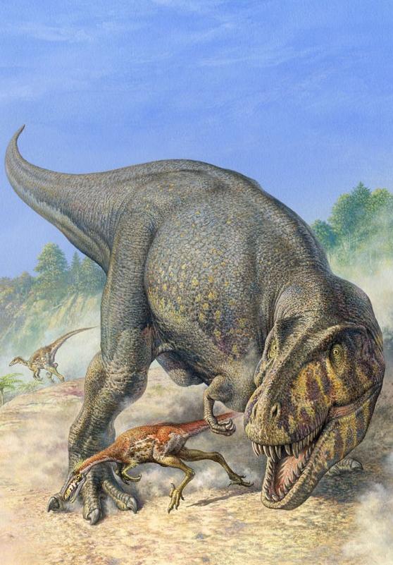 Tyrannosaurus rex and Troodon