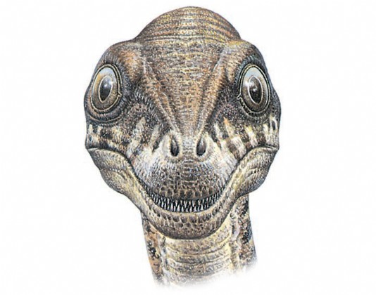 Troodon