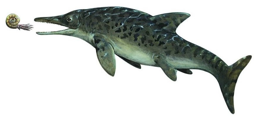 Ichthyosaurus