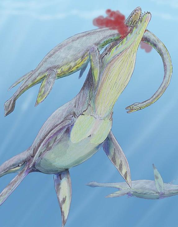 Kronosaurus devouring a plesiosaur