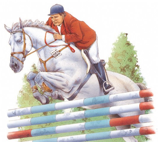A rider and his horse clear a fence.