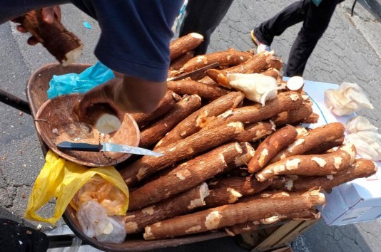 Cassava