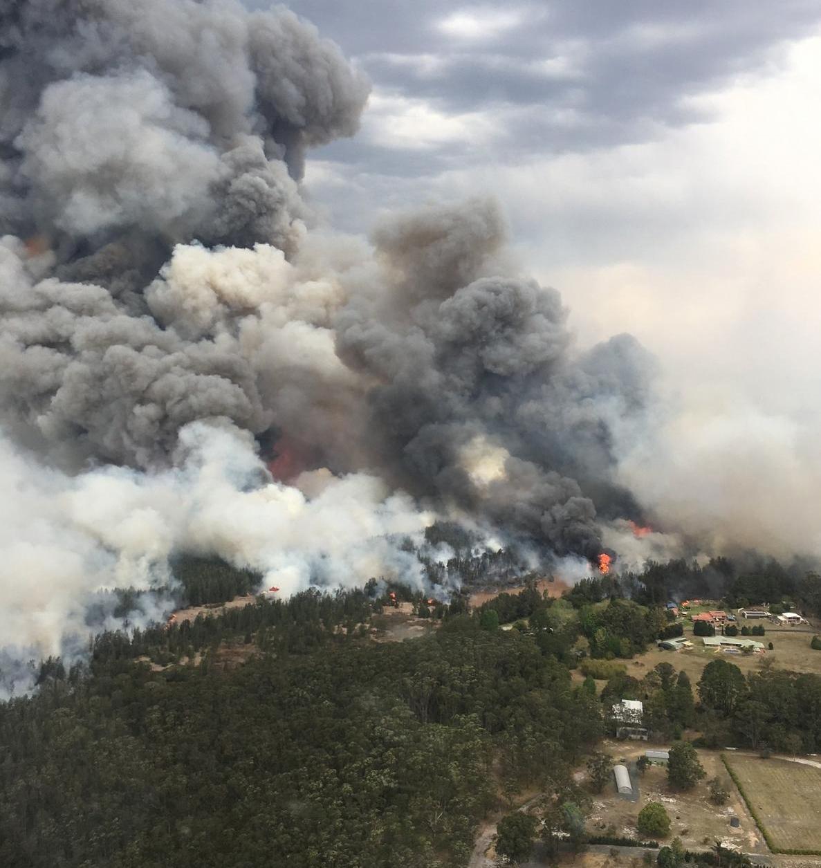 Bushfire (wildfire) in New South Wales, Australia, 2019