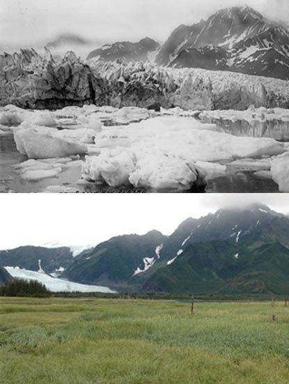 Retreat of Pedersen Glacier, Alaska, 1917–2005