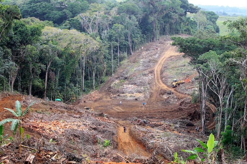 An area of forest being cut down near Ilhéus in the northeastern Brazilian state of Bahia