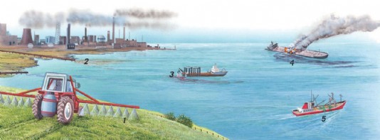 Major causes of ocean pollution