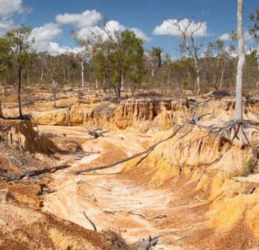 Clearance of trees and overgrazing cause soil erosion.