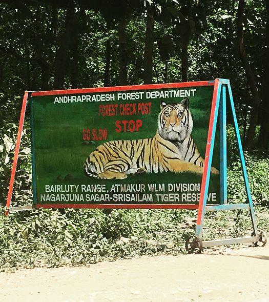 Nallamalla Tiger Reserve, Andhra Pradesh, India
