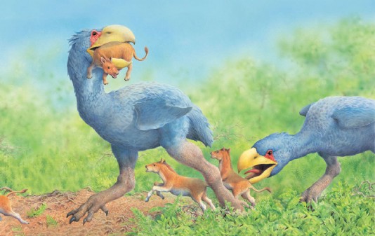 Giant, flightless birds evolved from impact survivors