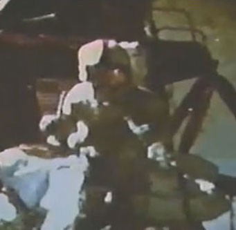Demonstrating the laws of gravity on the Moon