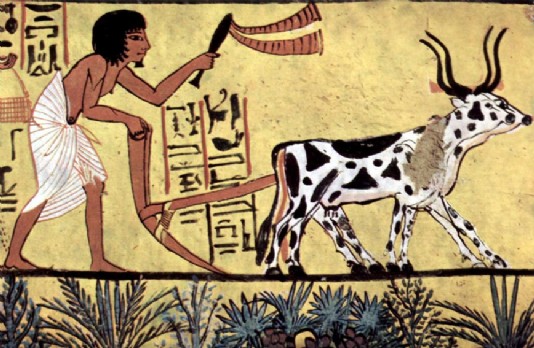 An ancient Egyptian ard