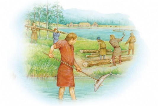The Vikings found salmon streams in Newfoundland.