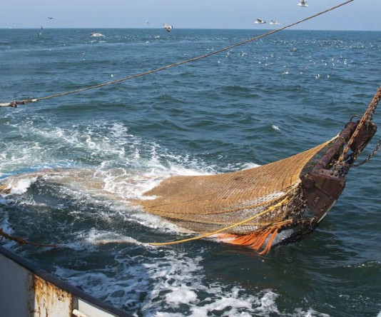 Hauling in trawl nets