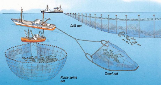 Different nets and their methods