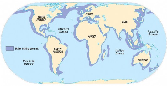 Major fishing grounds