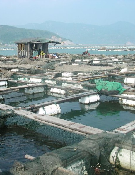 Fish farm, Fujian, China