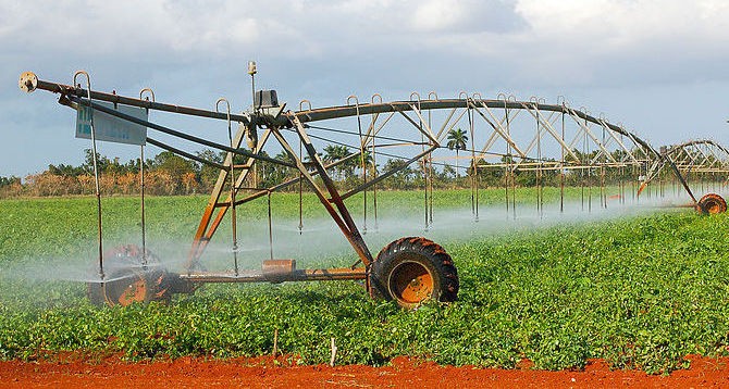A circular water sprinkling system
