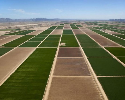 Arable farmland in Arizona, USA