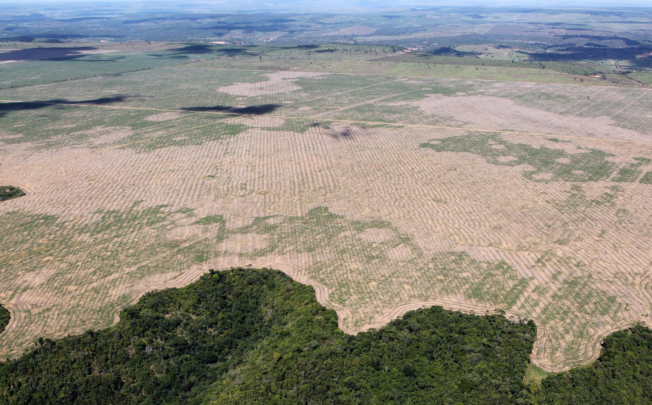 Deforestation in Maranhão state, Brazil, in July 2016