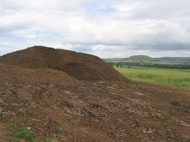 A huge pile of poultry waste, to be used as fertilizer