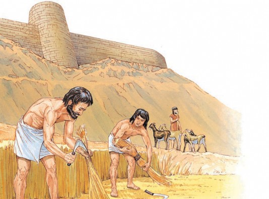 Farmers outside the walls of Jericho