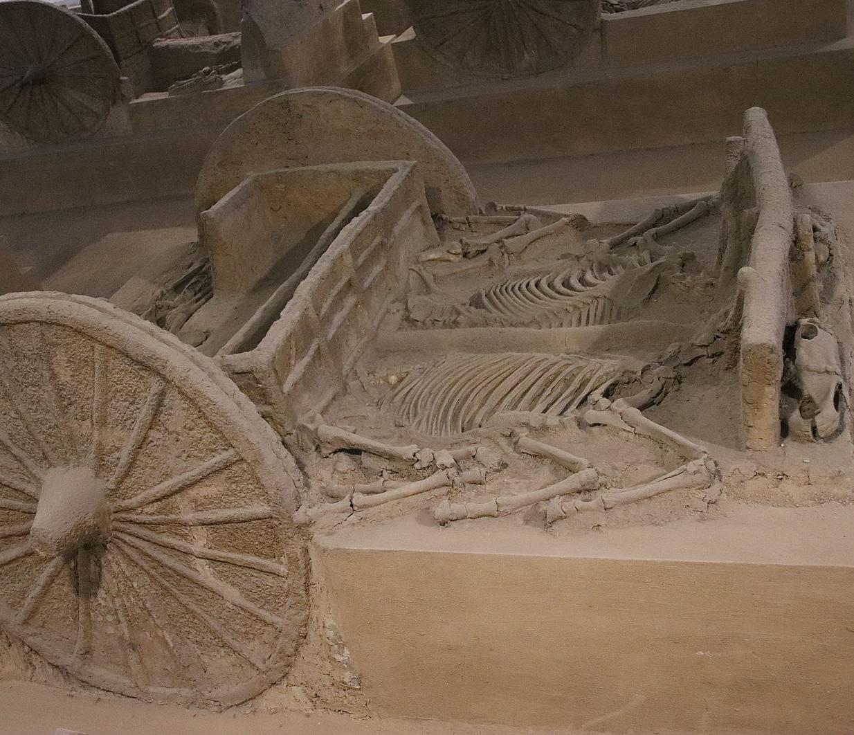 A chariot buried in a Shang tomb